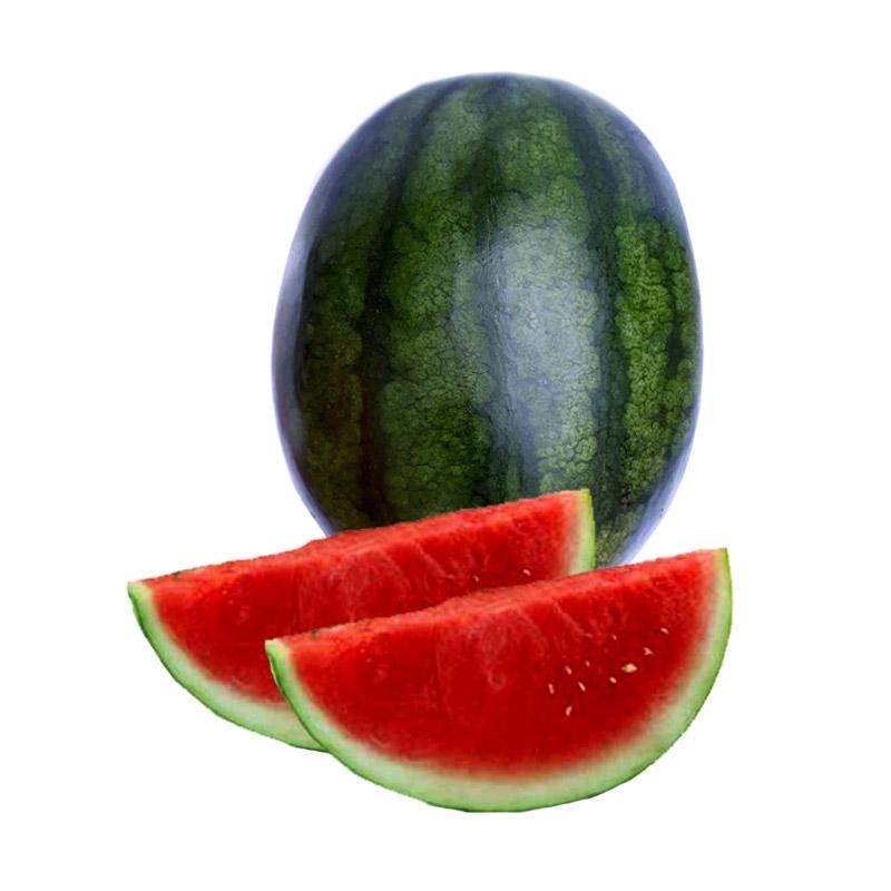 Jual Duta Buah Pusat Semangka Merah Non Biji [5-7kg/pcs