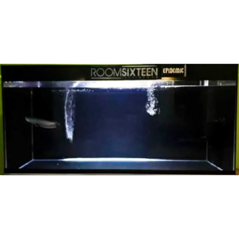 434 Background Hitam Untuk Aquarium Images & Pictures My