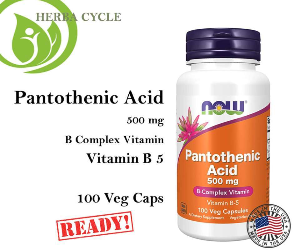 Jual Now Foods Pantothenic Acid 500mg 100 VegCap Vit B Complex Vit B5