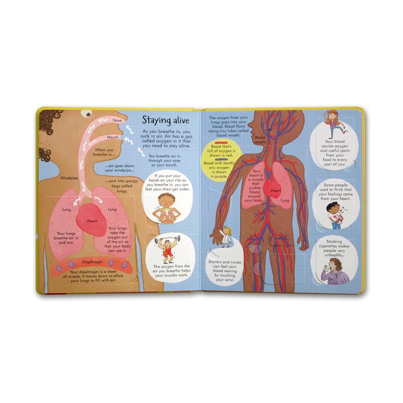 Jual Usborne Books Look Inside Your Body With Over 100 Flaps to Lift ...