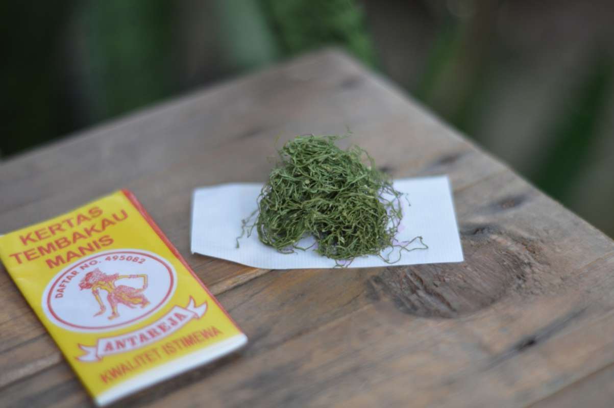 Aceh Gayo Tembakau â