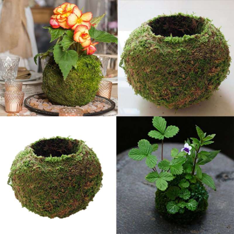 Jual 3x 15cm Moss Flower Pot Moss Ball Weave Preserved Pot Garden Decor