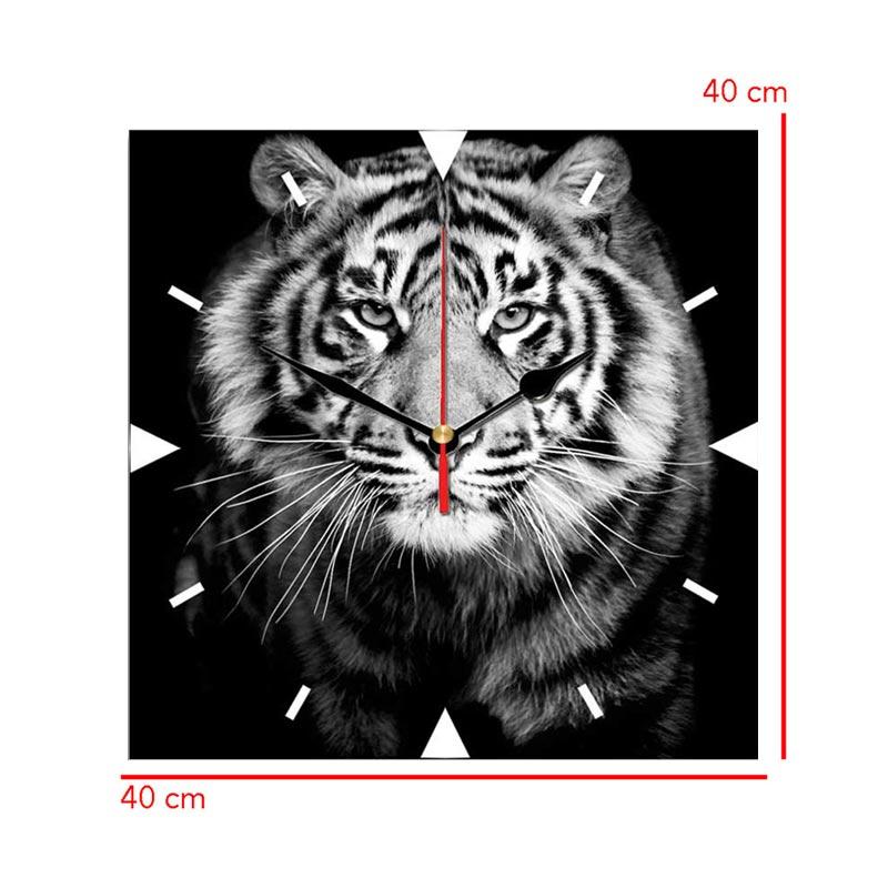 62 Gambar Macan Hitam Terbaik Gambar Pixabay