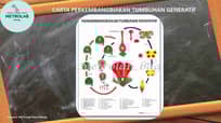 Jual Carta Perkembangan Tumbuhan Generatif Dgn Referensi Uk 70 X 100 