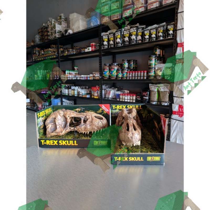 Promo Exoterra Exo Terra TRex Trex Skull Hiding Cave Reptile Terrarium