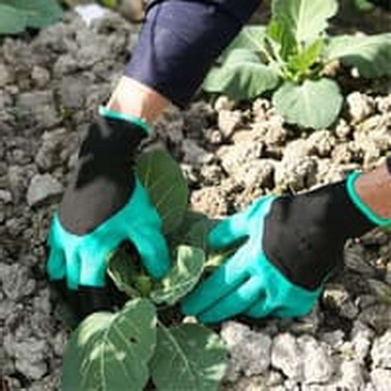 Jual Garden genie gloves sarung tangan kebun taman Online