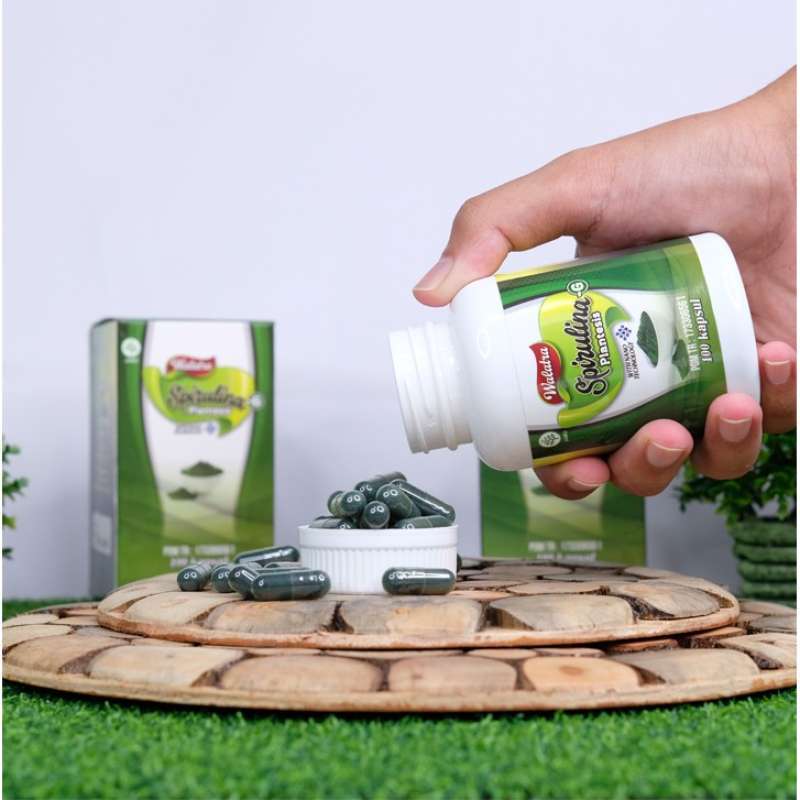 Jual Obat Anemia dan Meningkatkan Kadar Hemoglobin Walatra Spirulina