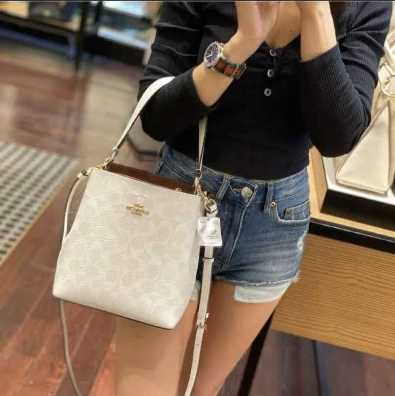 Jual Coach Small Town Bucket Bag In Signature Canvas Glacier White di