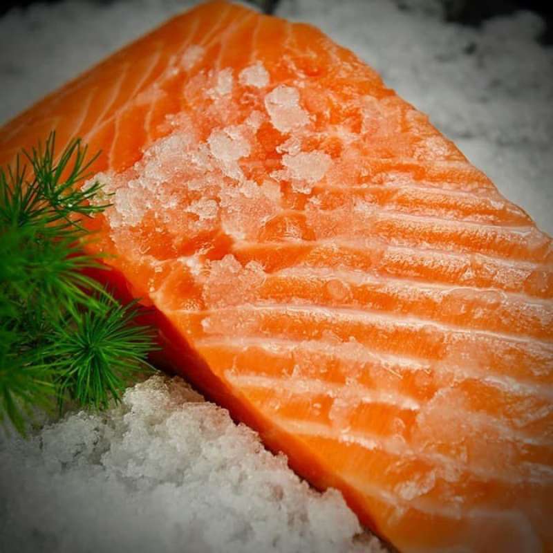 Jual FROZEN SALMON SASHIMI GRADE - IKAN SALMON BEKU 200gr di Seller