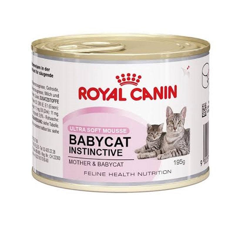 Jual Royal Canin 195 Baby Cat Terdekat 🏷️ Harga Grosir Murah Terupdate