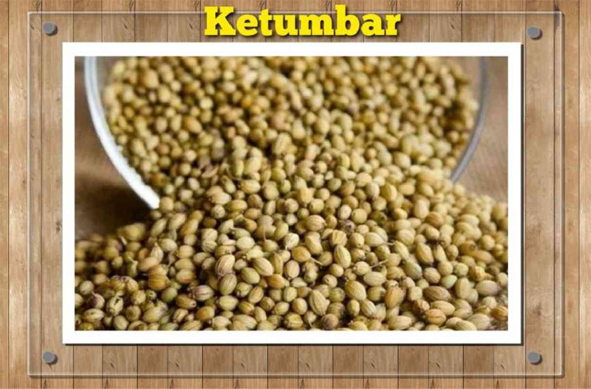 Jual Ketumbar - Biji Ketumbar di Seller Decemil - Bubulak, Kota Bogor ...