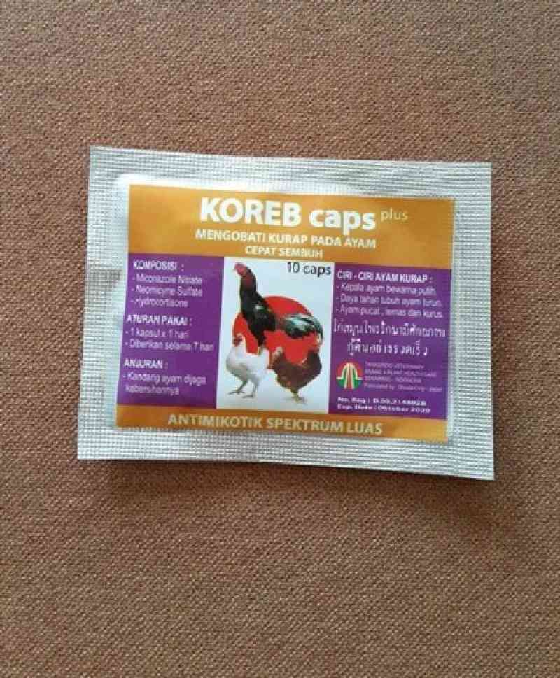 Jual Kitten milk replacer Longlife 200 gr susu anak kucing RAID ALL di