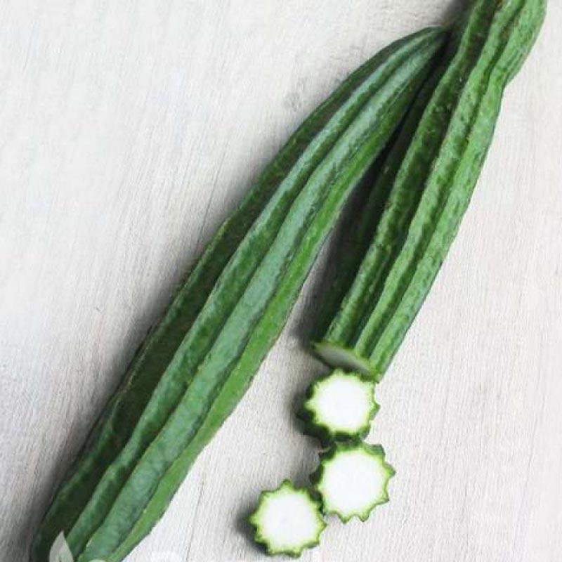 Gambar Sayuran Oyong - Daftar harga sayur oyong murah online terbaru
