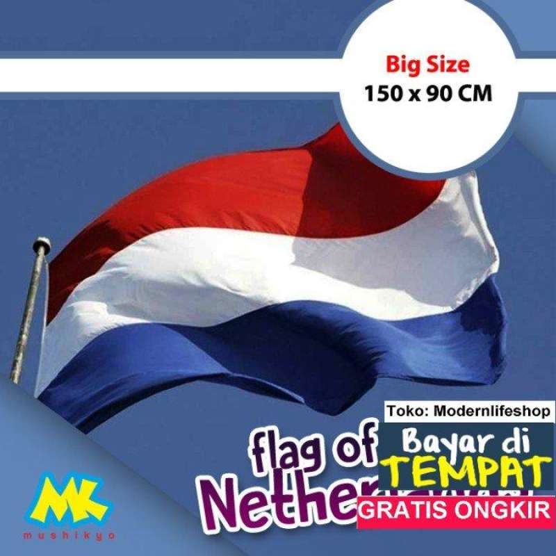 Behindertenflagge 90x150 Cm – EU-Produktion | UV-beständig & Witterungsfest | Mit Ösen | Digitaler Vollfarbdruck