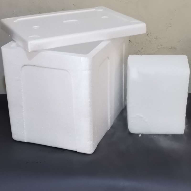 Jual Dry Ice 20kg + 1 Box Styrofoam Type Bm Di Seller Cutseals