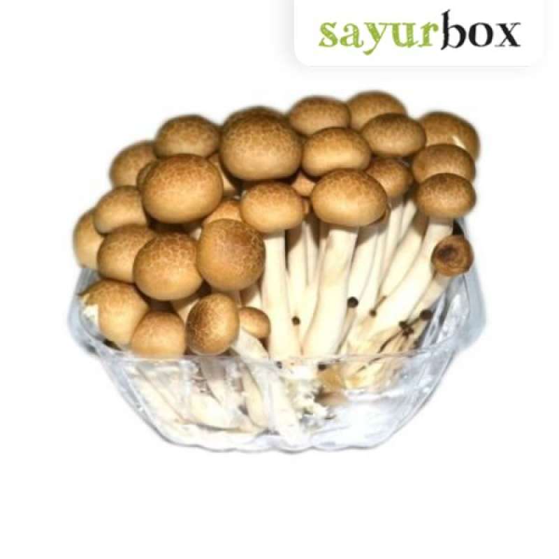 Jual Jamur Shimeji Coklat Impor Impor 1 pack Sayurbox JKT di Seller