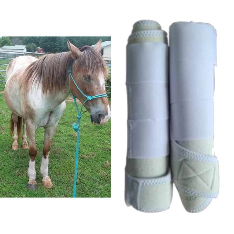 Jual Equine Sport Horse Jumping Tendon Boot Leg Protection Brushing