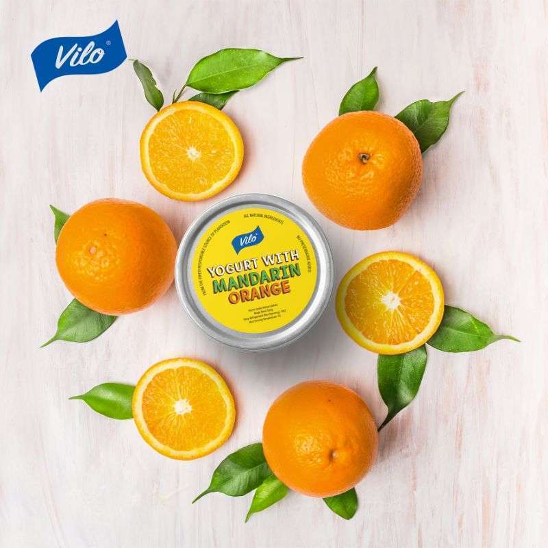 Jual VILO Gelato Yogurt Mandarin Orange [500 mL] di Seller Vilo Gelato ...