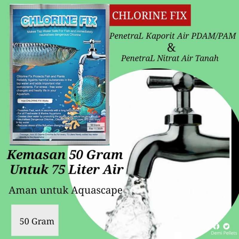 Bahaya Klorin dan Kloramin pada Ikan Hias serta Cara Menghilangkannya
