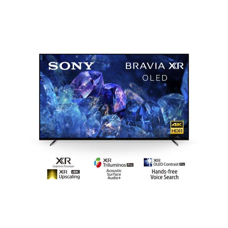 Jual Sony Bravia 65a80k Oled 4k Uhd Smart Google & Android Tv 65 Inch