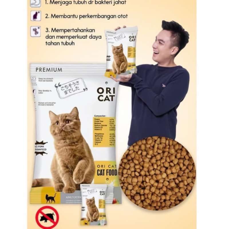 Cara Menjaga Daya Tahan Tubuh Kucing / 12 Rekomendasi ...