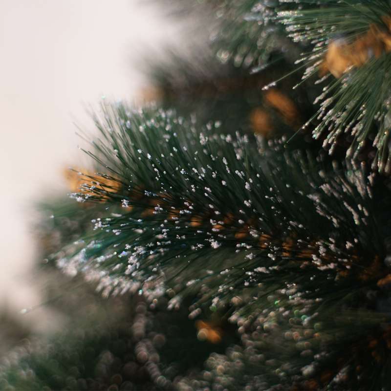 Jual Pohon Natal Bonus Lampu LED ( Tinggi 3 feet / 90cm ...