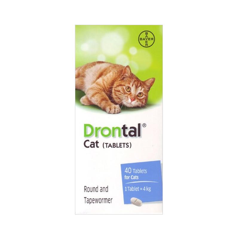 does drontal kill whipworms in cats Heartwarming Blogger Photographs