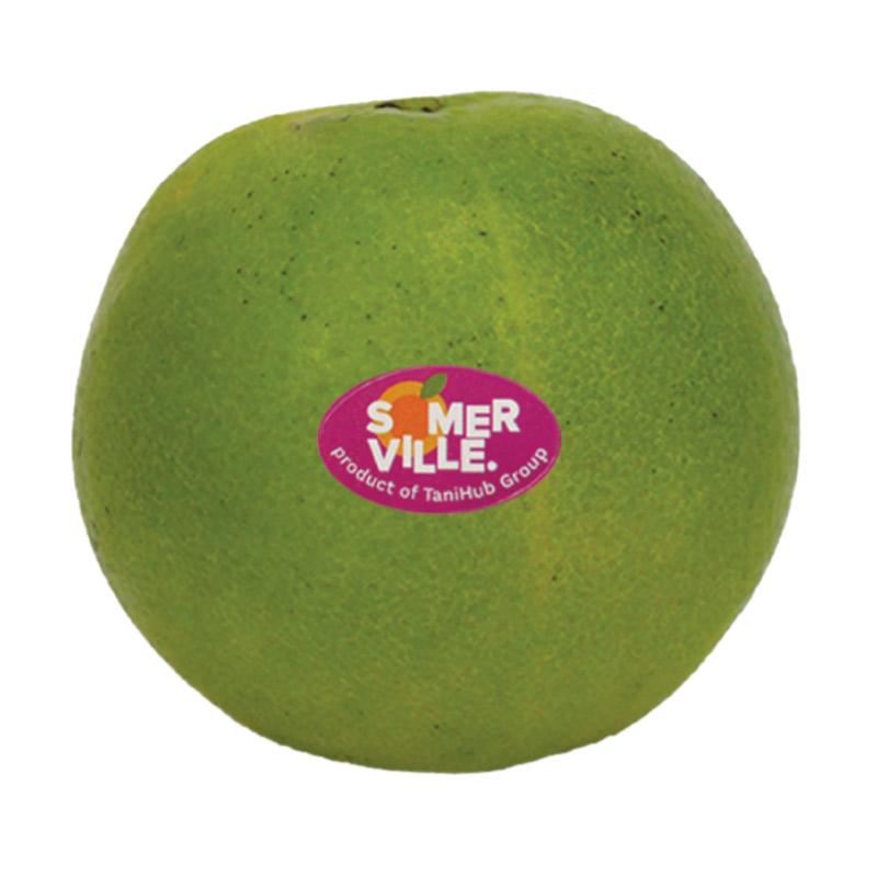 jual somer ville jeruk baby buah 2 kg harga jual somer ville jeruk baby buah 2 kg harga