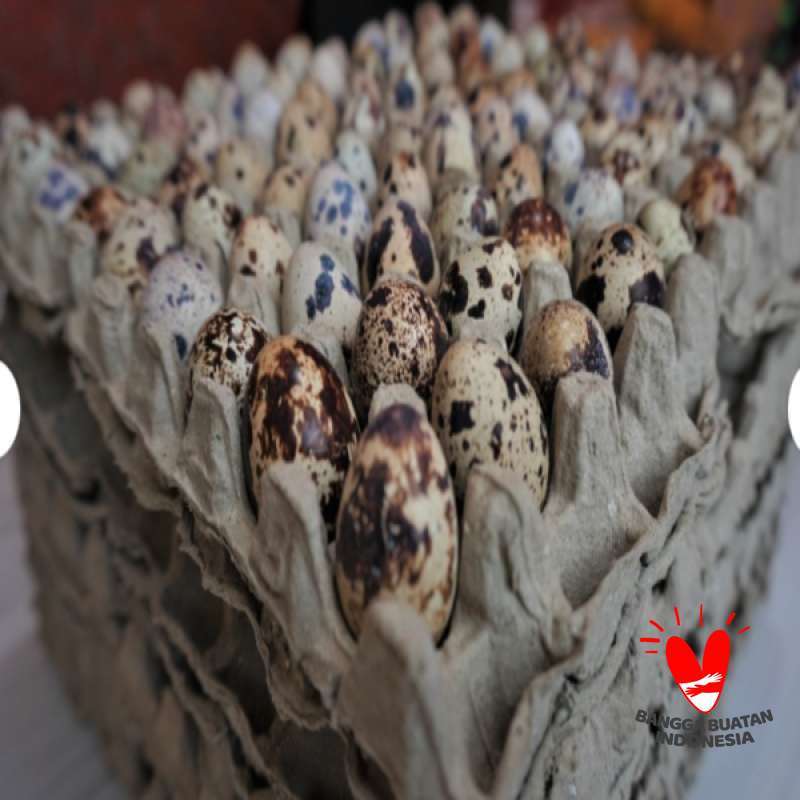 Promo Telur puyuh 1 kg isi 90 butir fresh telor puyo telur puyu telur