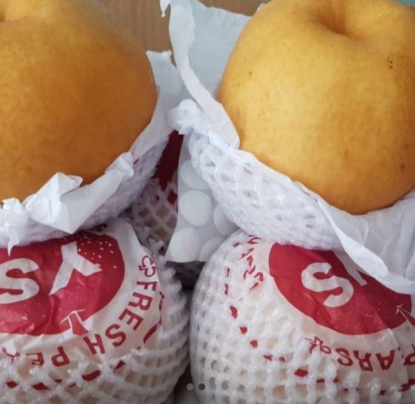 Jual Pear Korea Singo Premium Korean Pears Fresh Import Per Buah Halal ...