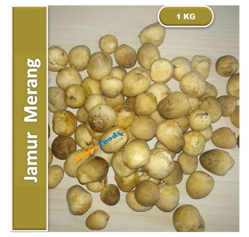 Jual Jamur Merang Fresh Jamur Padi 1.000gr [ Harga Per KG ] di