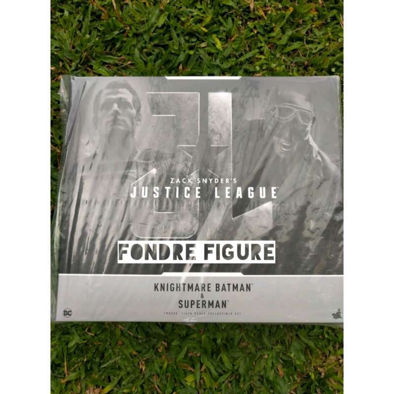 HOTTOYS HT 1/6 TMS038 Knightmare Batman Superman Justice League Figure Set