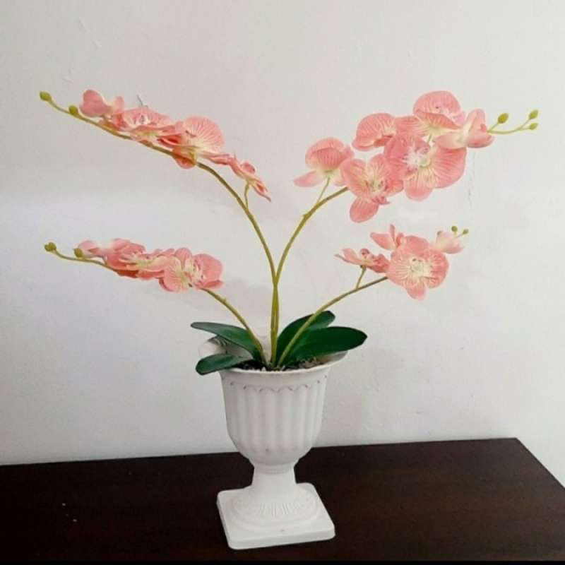 Promo Bunga Anggrek Hias Bunga Pajangan Pot Bunga Hiasan Meja Kantor