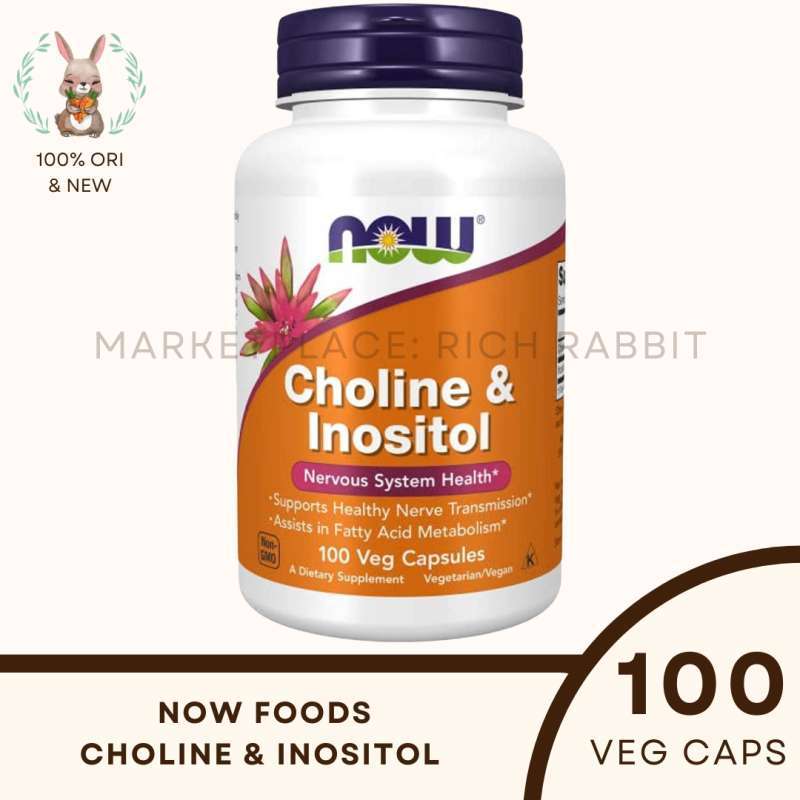 Jual Now Foods Choline & Inositol 500 Mg PCOS Saraf Nerve Brain 100 Veg