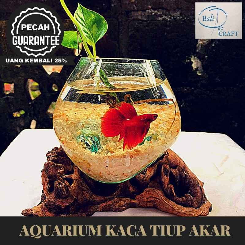 Aquarium Unik Mini : Aquarium Unik Bentuk Mini Tinggal ...