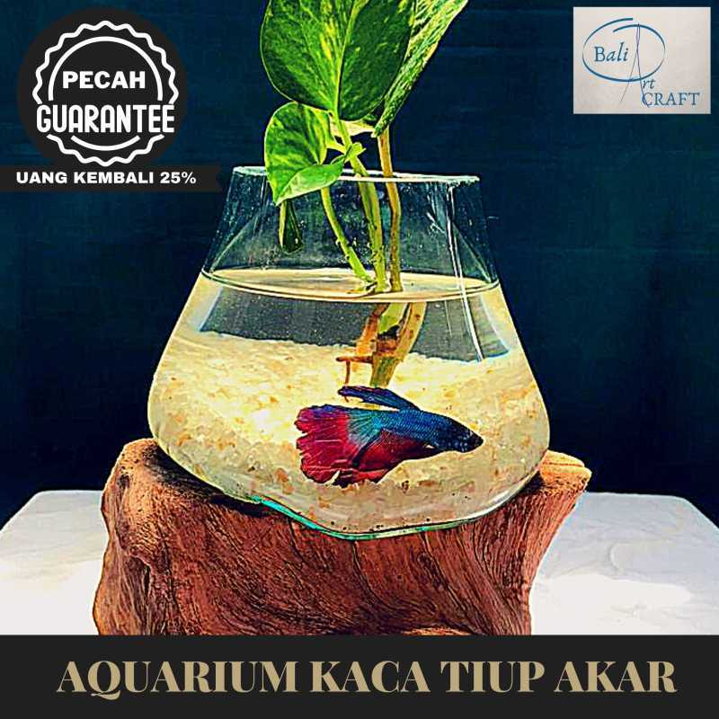 Aquarium Unik Untuk Cupang / Model Akuarium Modern Untuk ...