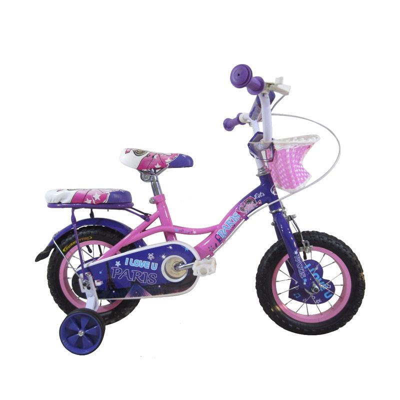 Jual RMB Paris Sepeda  Anak  Pink Purple 12 Inch Online 