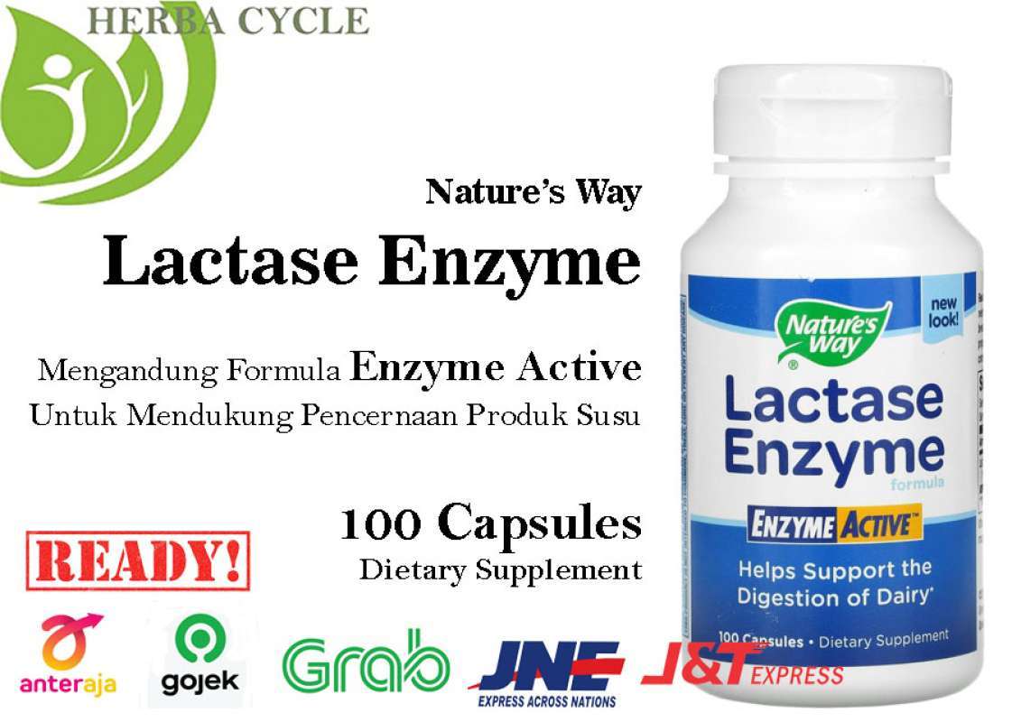 Jual Natures Way Lactase Enzyme Formula 100 Capsules Nature Way Lactase