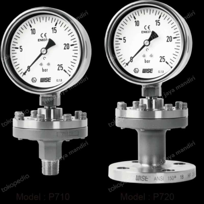 Promo Wise Pressure Gauge 25 Bar Size 4 Inchi Diskon 5 di Seller JIHAN