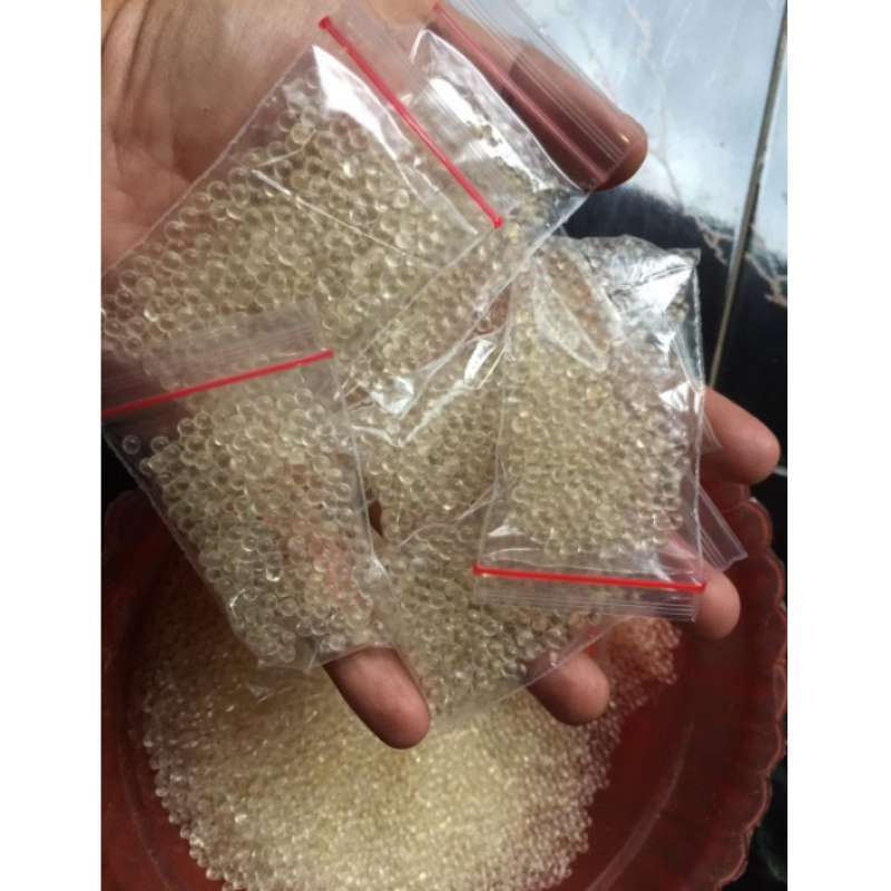 Promo Hidrogel Hydrogel Water Beads Bening Media Tanam Tanaman