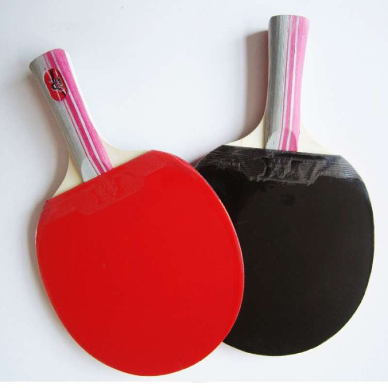 Jual AOLIKES 9841 Raket Tenis Meja Bat Bet Cover Tenis Meja