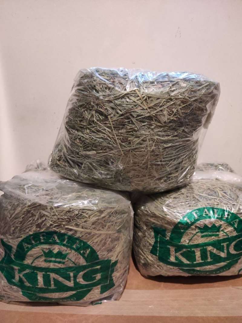 Jual Timothy Hay Alfalfa King 1 kg bukan oxbow rabbit hole di Seller