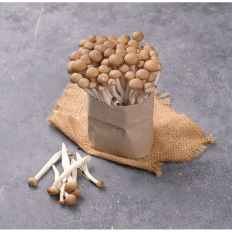 Promo Sayur Jamur Shimeji Coklat 150gr Diskon 40 Di Seller Afcbandung