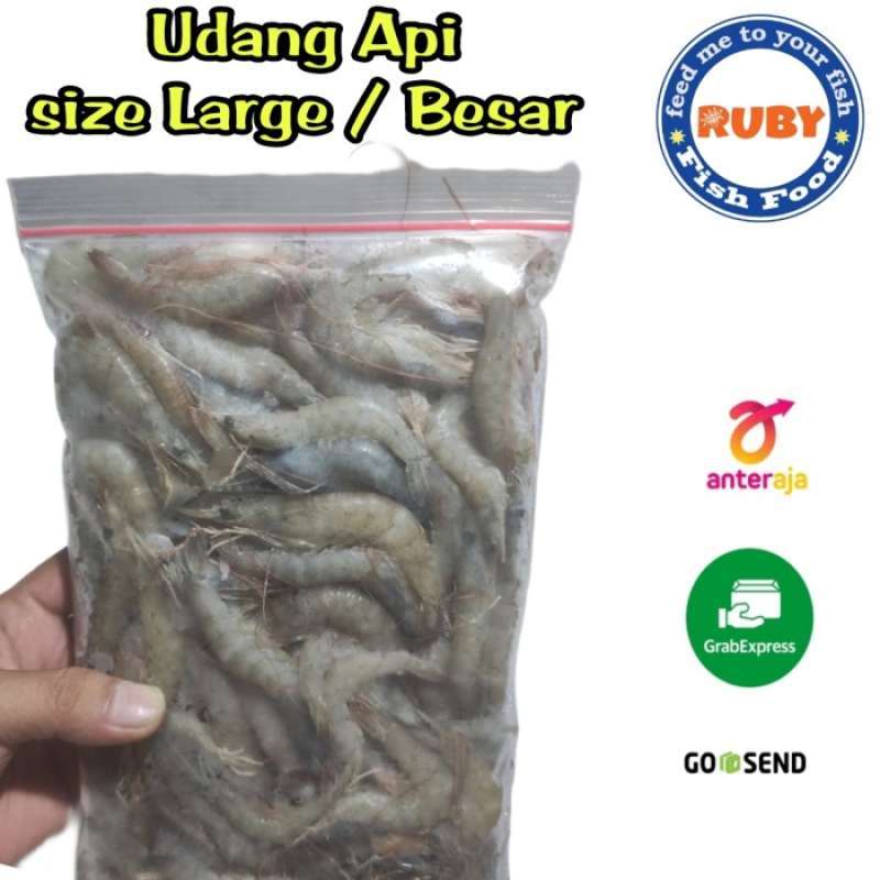 Jual Udang Api Size Besar / Udang Api Beku Kemasan 1Kg di Seller DENTA
