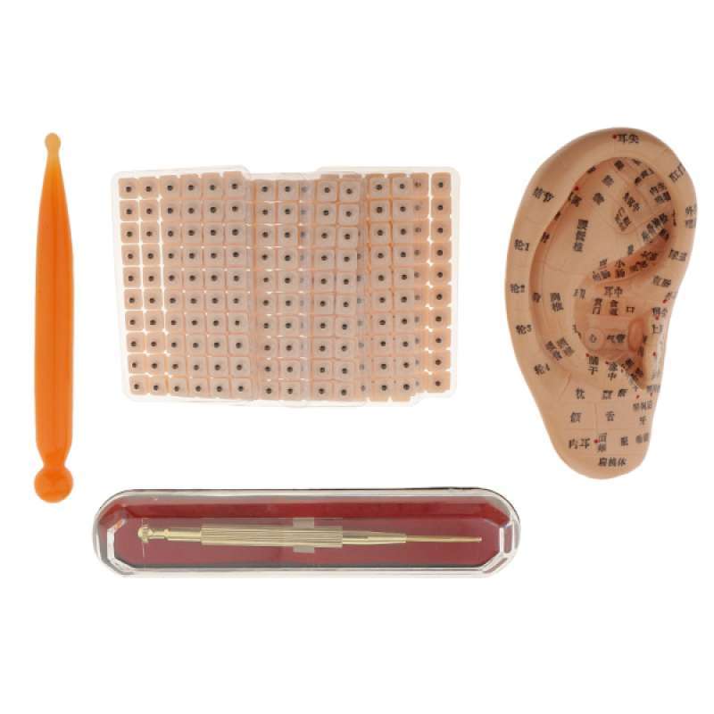 Jual Ear Massage Acupuncture Model + Needle Pen + Stick + 600