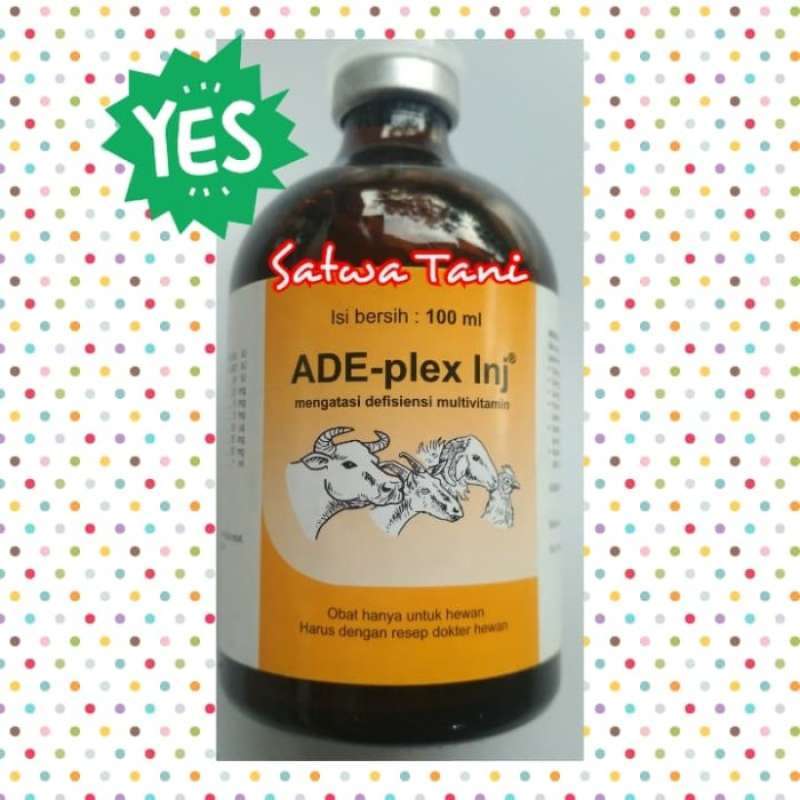Jual Vitamin B Complex Inj Termurah - Harga Grosir Terupdate Hari Ini ...