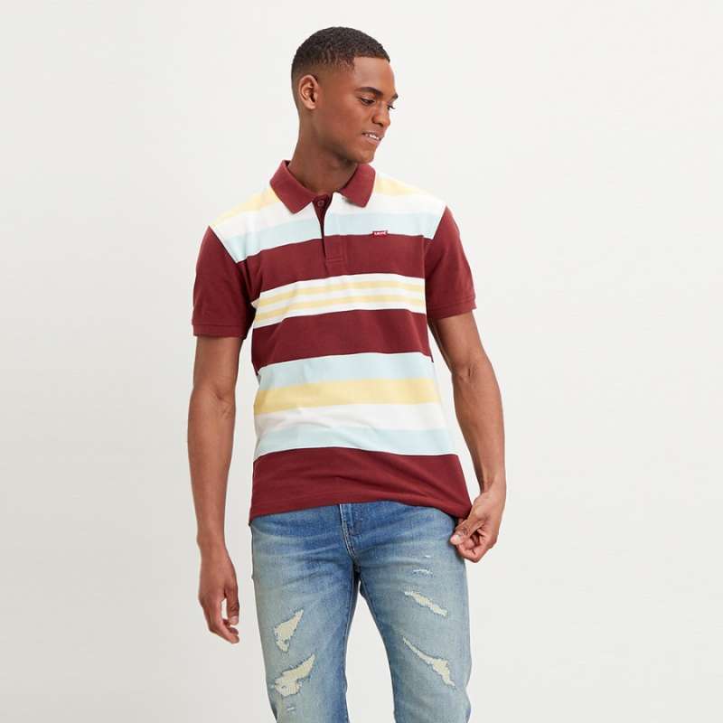 Variegated Striped Printed Polo