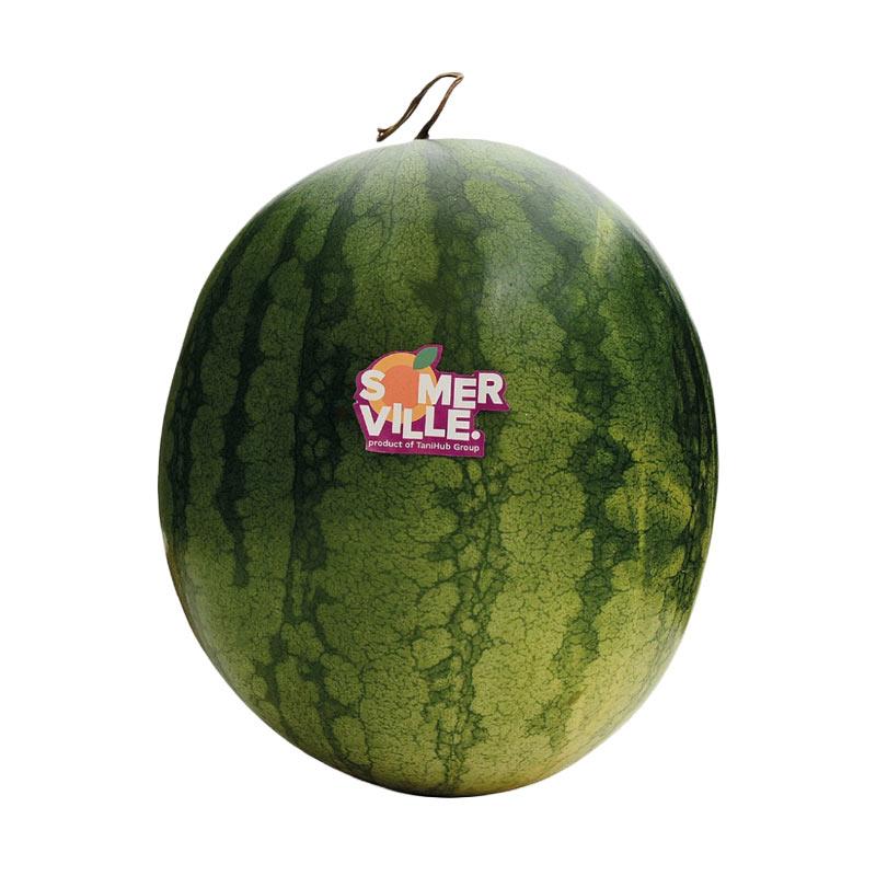 Gambar Buah Semangka - Gambar Bagian Tumbuhan