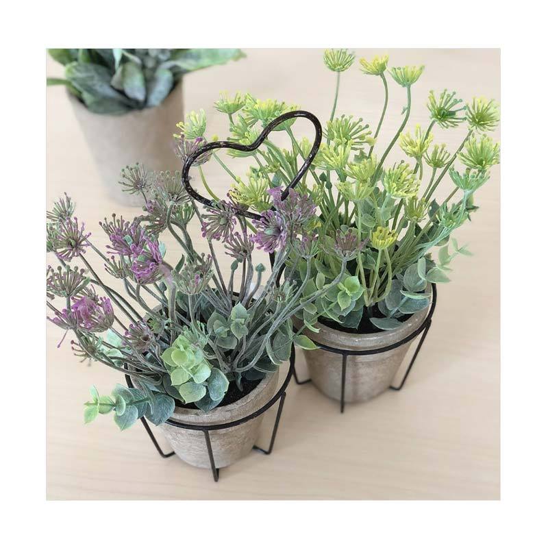 Gambar Bunga Gantung - Gambar Terbaru HD