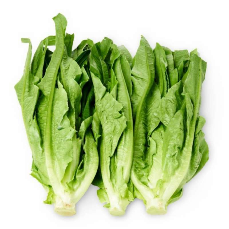 Jual UBIFRESH [Ps. Modern BSD] - Sayur Fumak - Siomak - 250 Gram Halal ...